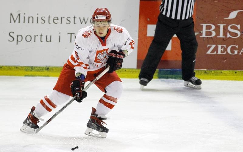 Ice Hockey. Euro Ice Hockey Challenge. Poland - Slovenia. 05.11.2015