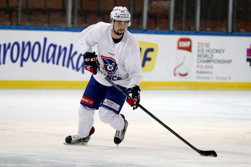 Ice Hockey. France. Training. 15.12.2015