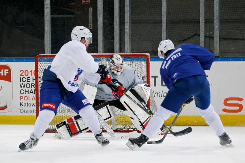 Ice Hockey. France. Training. 15.12.2015