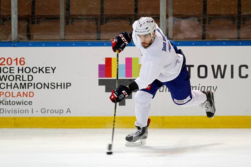 Ice Hockey. France. Training. 15.12.2015