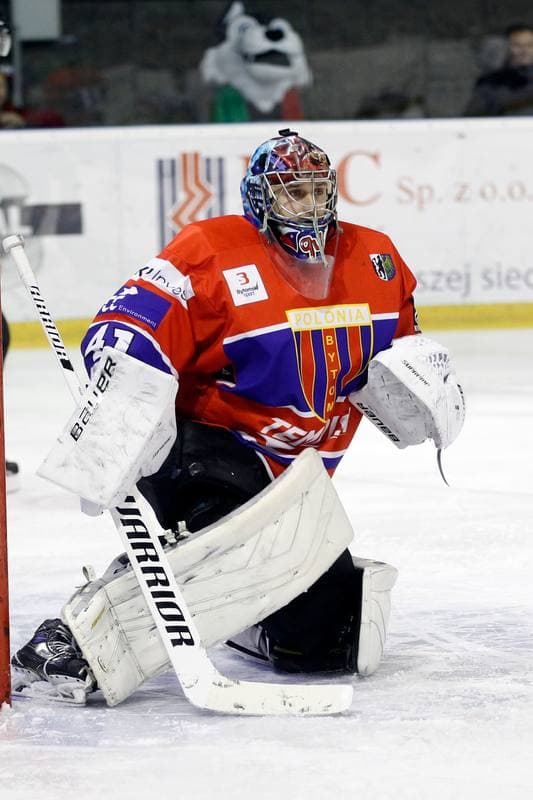 Ice Hockey. Polska Hokej Liga. GKS Tychy - Tempish Polonia Bytom. 06.12.2016