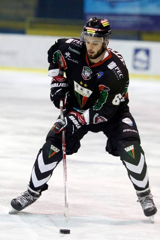 Ice Hockey. Polska Hokej Liga. Tempish Polonia Bytom - GKS Tychy. 06.01.2017