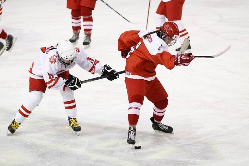 Ice Hockey. U18 Women's World Championship. Poland - Denmark. 08.01.2017