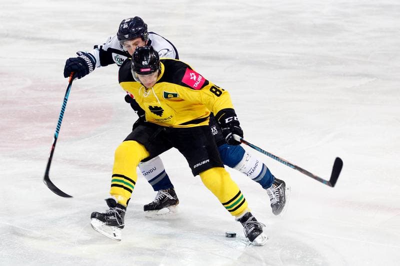 Ice Hockey. Tauron Hokej Liga. Tauron KH GKS Katowice - MH Automatyka Gdansk. 10.01.2017