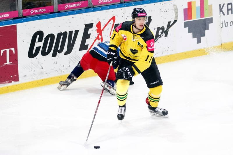 Ice Hockey. Polska Hokej Liga. KH Tauron GKS Katowice - SMS PZHL Sosnowiec. 13.01.2017