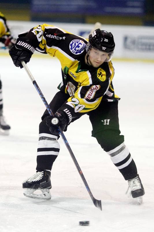Ice Hockey. Polska Hokej Liga. Tempish Polonia Bytom - JKH GKS Jastrzebie. 20.01.2017