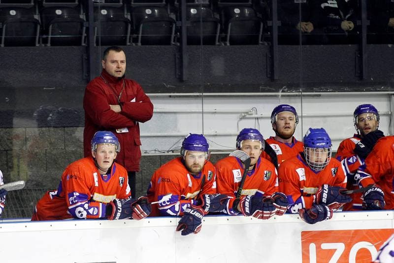 Ice Hockey. Polska Hokej Liga. GKS Tychy - Tempish Polonia Bytom. 22.01.2017