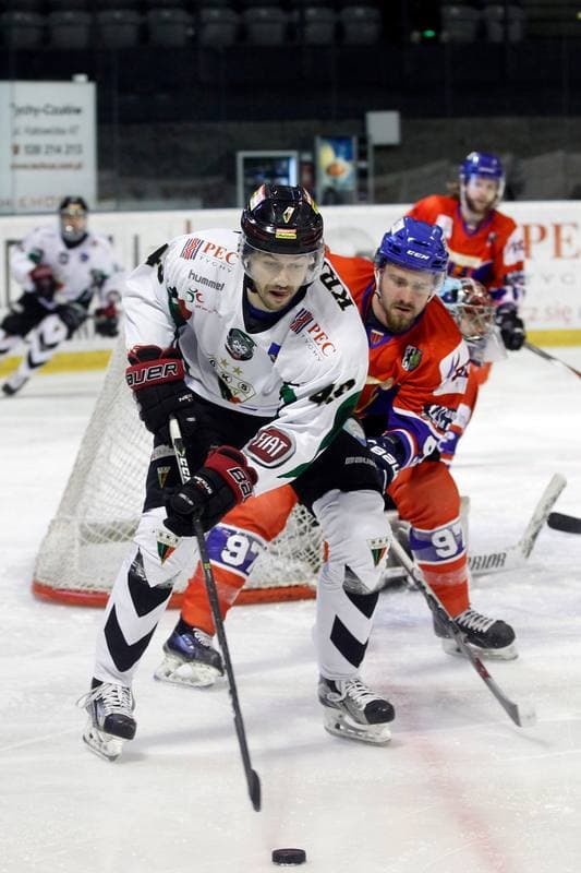 Ice Hockey. Polska Hokej Liga. GKS Tychy - Tempish Polonia Bytom. 22.01.2017