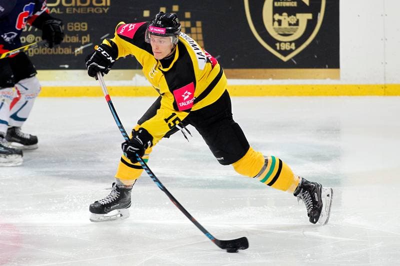 Ice Hockey. Tauron Hokej Liga. Tauron KH GKS Katowice - Nesta Torun. 22.01.2017