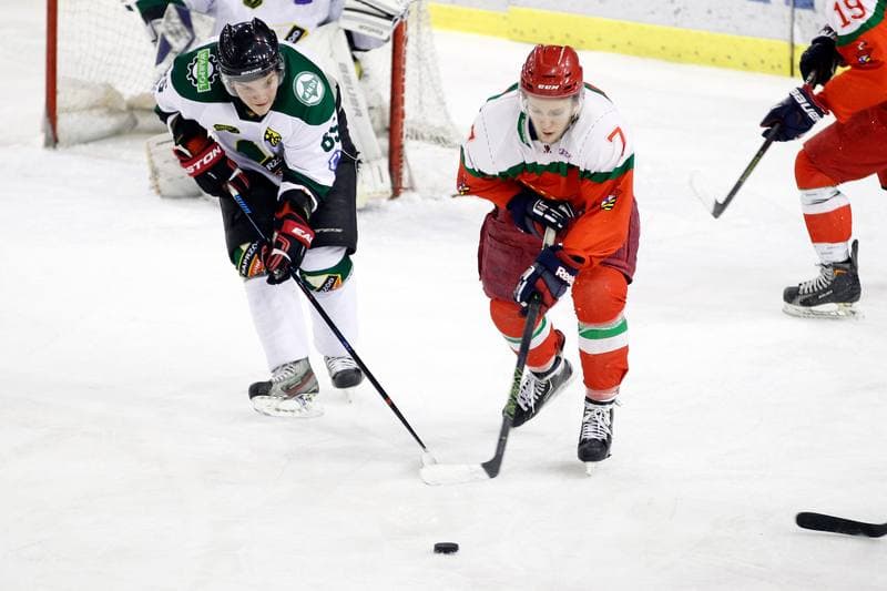 Ice Hockey. I Liga. Naprzod Janow - Zaglebie Sosnowiec. 22.01.2017