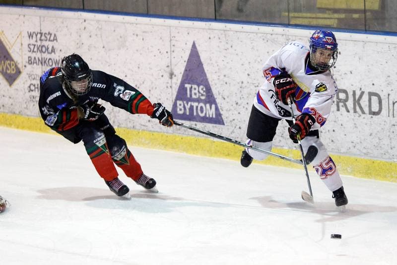 Ice Hockey. PLHK. Polonia Bytom - Atomowki Tychy. 27.01.2017