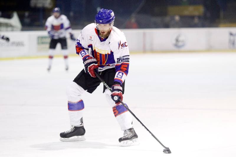 Ice Hockey. Polska Hokej Liga. Tempish Polonia Bytom - Podhale Nowy Targ. 29.01.2017