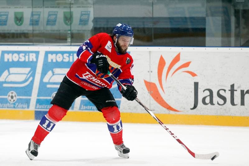 Ice Hockey. PHL. JKH GKS Jastrzebie - Tempish Polonia Bytom. 05.02.2017