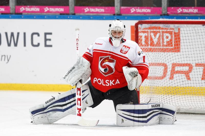 Ice Hockey. Euro Ice Hockey Challenge. Poland - Ukraine. 10.02.2017