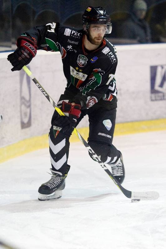 Ice Hockey. Polska Hokej Liga. Tempish Polonia Bytom - GKS Tychy. 15.02.2017