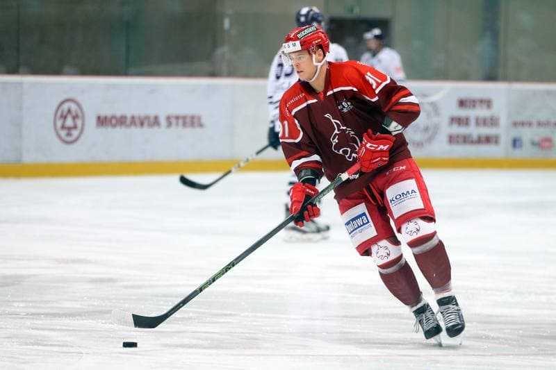 Ice Hockey. WSM Liga. HC Frydek-Mistek - HC Benatky nad Jizerou. 20.02.2017