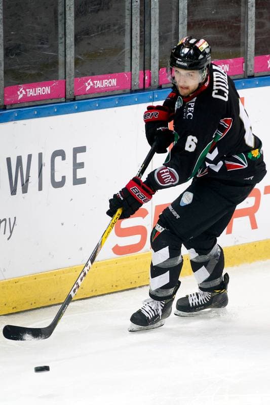 Ice Hockey. Polska Hokej Liga. Tauron KH GKS Katowice - GKS Tychy. 25.02.2017