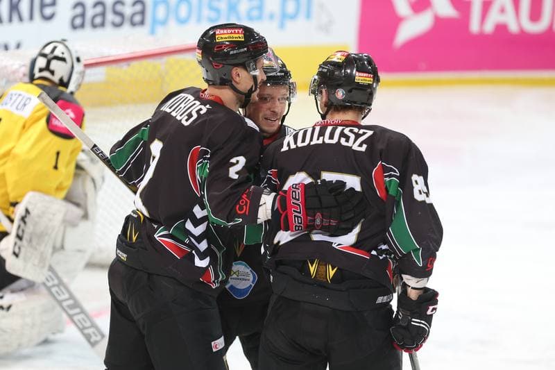 Ice Hockey. Polska Hokej Liga. Tauron KH GKS Katowice - GKS Tychy. 25.02.2017