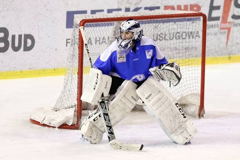 Ice Hockey. PLHK. Naprzod Janow - Stoczniowiec Gdansk. 25.02.2017