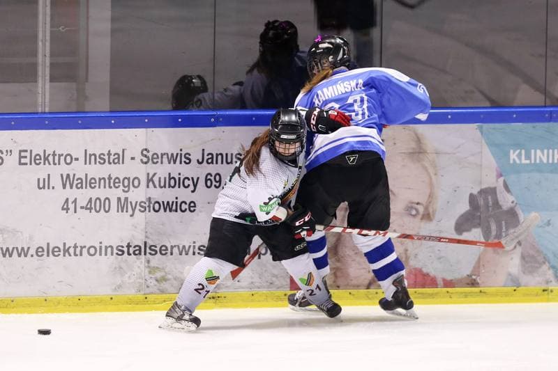 Ice Hockey. PLHK. Naprzod Janow - Stoczniowiec Gdansk. 25.02.2017