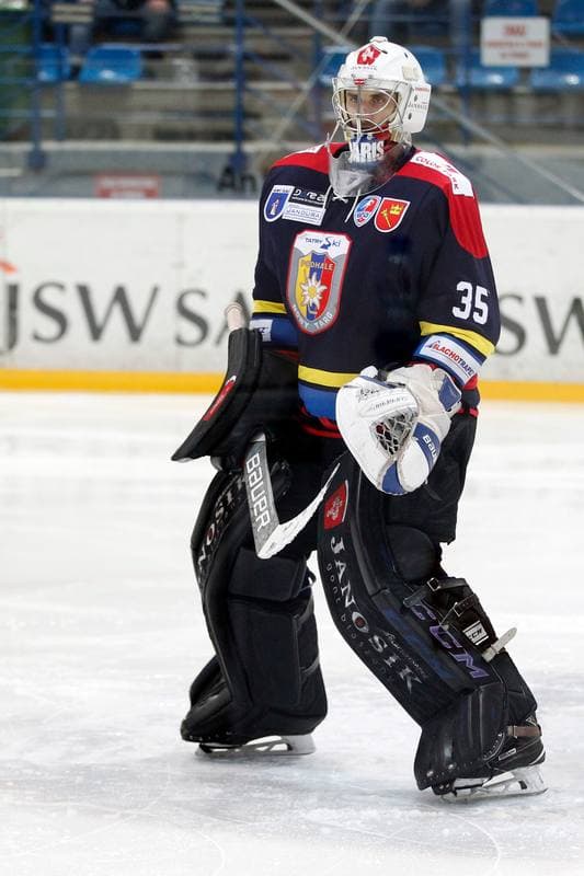 Ice Hockey. Polska Hokej Liga. JKH GKS Jastrzebie - Podhale Nowy Targ. 26.02.2017