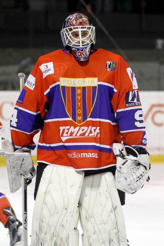 Ice Hockey. Polska Hokej Liga. GKS Tychy - Tempish Polonia Bytom. 07.03.2017