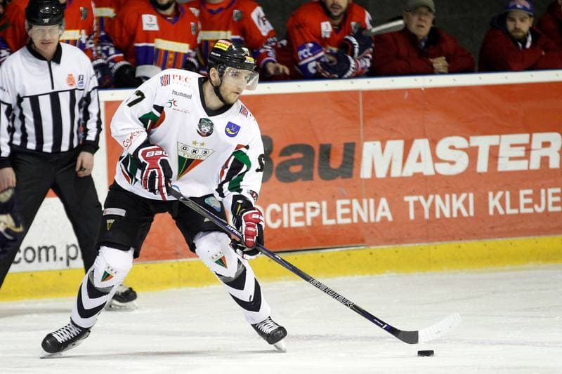 Ice Hockey. Polska Hokej Liga. GKS Tychy - Tempish Polonia Bytom. 08.03.2017