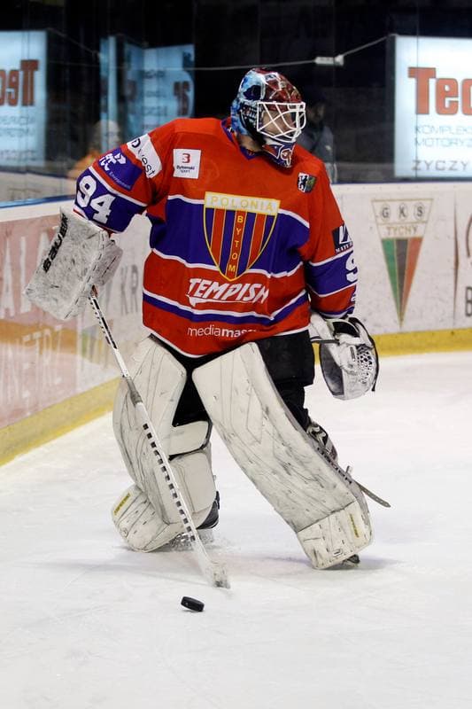 Ice Hockey. Polska Hokej Liga. GKS Tychy - Tempish Polonia Bytom. 08.03.2017