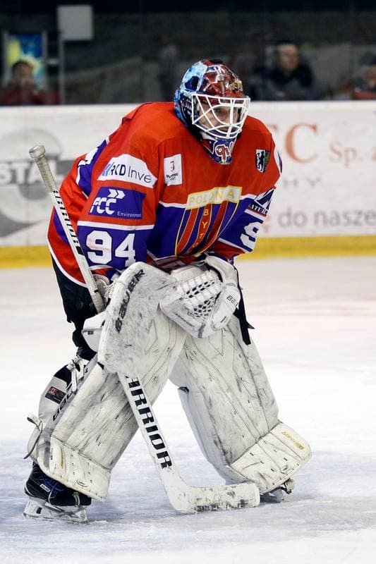 Ice Hockey. Polska Hokej Liga. GKS Tychy - Tempish Polonia Bytom. 08.03.2017