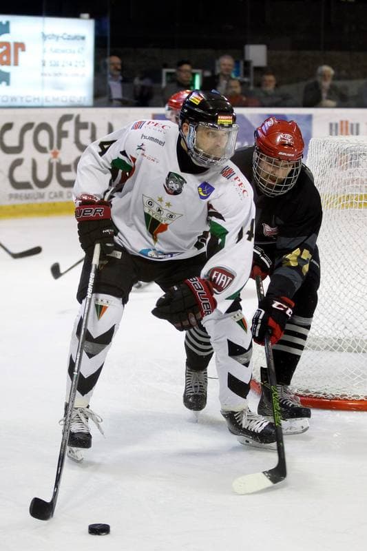 Ice Hockey. Polska Hokej Liga. GKS Tychy - Comarch Cracovia. 29.03.2017