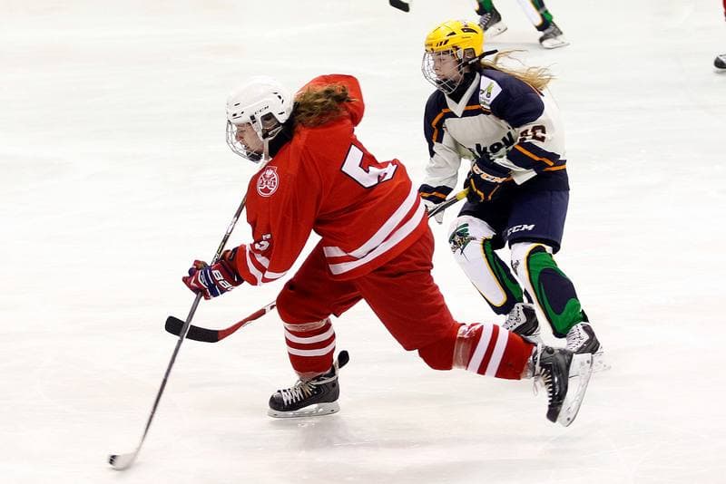 Ice Hockey. Women's Friendly Match. Poland - Ontario. 04.04.2017