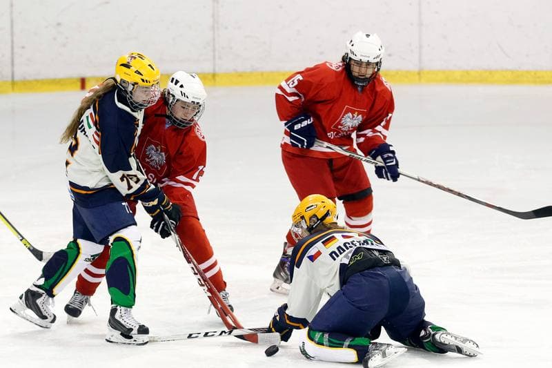 Ice Hockey. Women's Friendly Match. Poland - Ontario. 04.04.2017