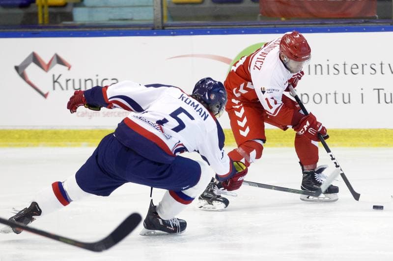 Ice Hockey. International Friendly Match. Poland - Slovakia B. 07.04.2017