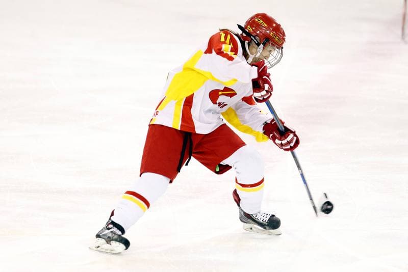 Ice Hockey. Women's World Championship. Italy - China. 12.04.2017
