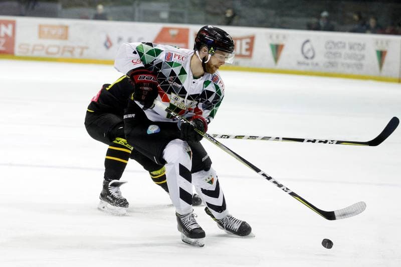 Ice Hockey. Polska Hokej Liga. GKS Tychy - Tauron KH GKS Katowice. 11.02.2018