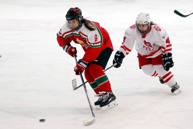 Ice Hockey. TCN. Poland - Hungary. 18.02.2018