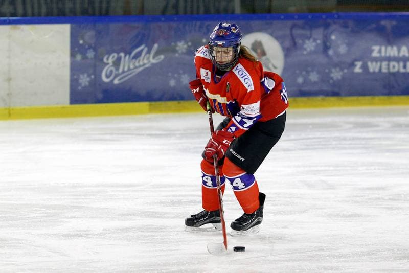 Ice Hockey. PLHK. Naprzod Janow - Polonia Bytom. 24.02.2018