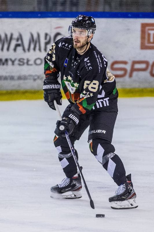 Ice Hockey. PHL. Naprzod Janow - GKS Tychy. 17.11.2019