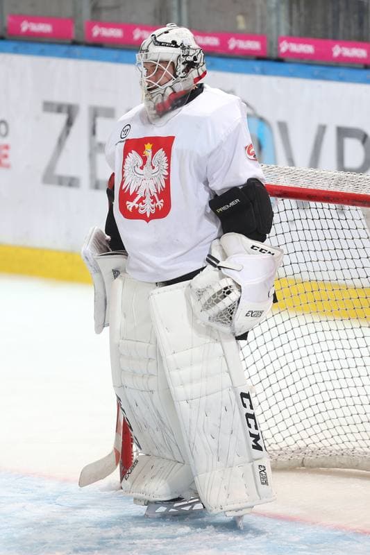 Ice Hockey. Poland national team. Training. 27.09.2017