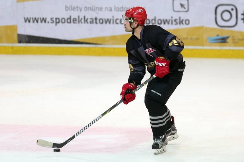 Ice Hockey. Polska Hokej Liga. SMS PZHL Katowice - Comarch Cracovia Krakow. 15.10.2017
