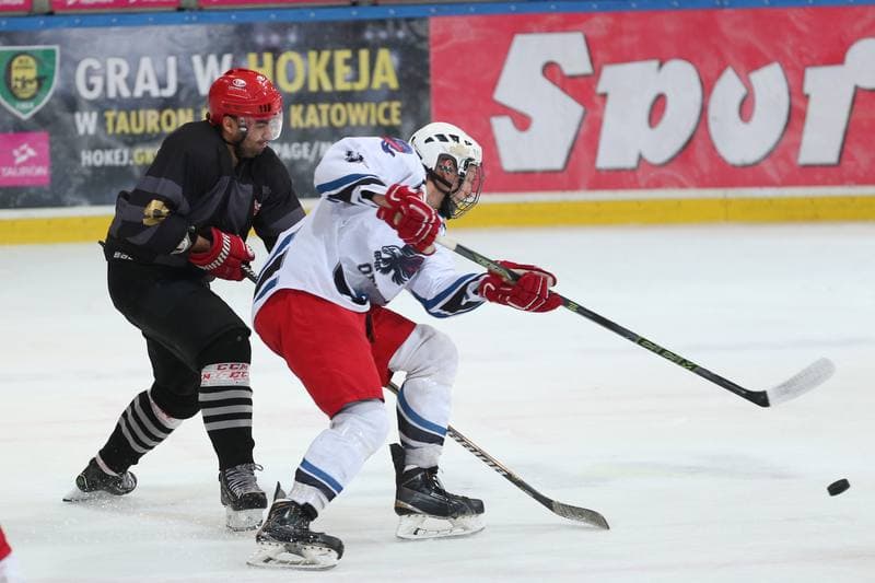 Ice Hockey. Polska Hokej Liga. SMS PZHL Katowice - Comarch Cracovia Krakow. 15.10.2017