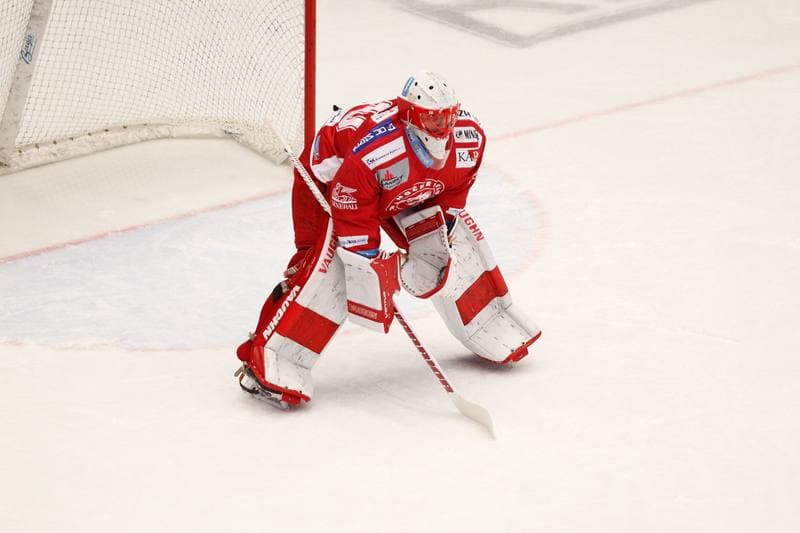 Ice Hockey. Tipsport Extraliga. Ocelari Trinec - Aukro Berani Zlin. 30.12.2017