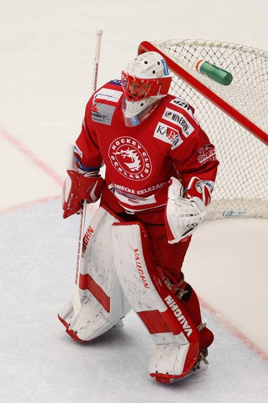 Ice Hockey. Tipsport Extraliga. Ocelari Trinec - Aukro Berani Zlin. 30.12.2017