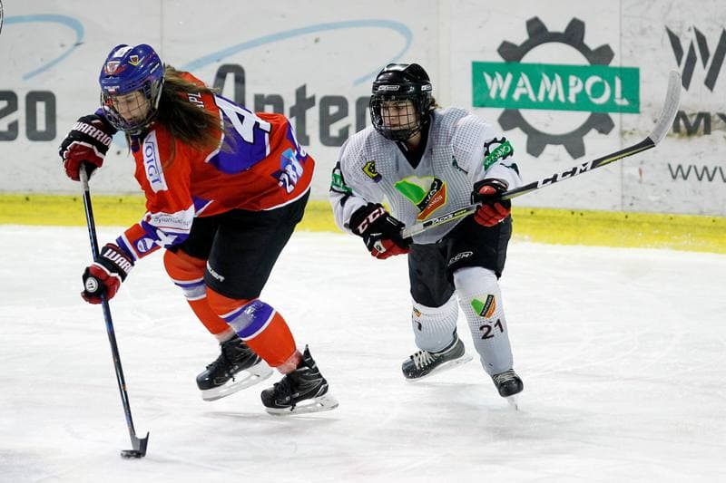 Ice Hockey. PLHK. Naprzod Janow - Polonia Bytom. 18.01.2018
