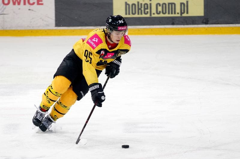 Ice Hockey. Tauron Hokej Liga. Tauron KH GKS Katowice - Polonia Bytom. 19.01.2018