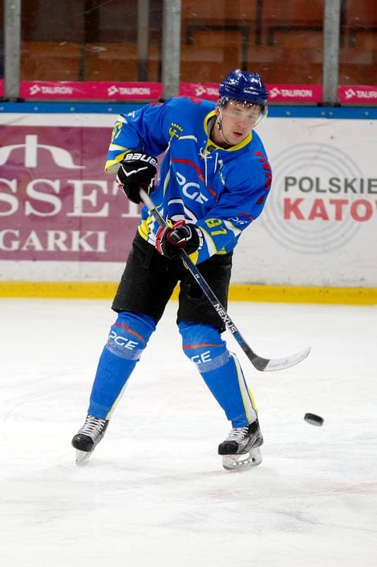 Ice Hockey. Tauron Hokej Liga. Tauron KH GKS Katowice - Orlik Opole. 26.01.2018