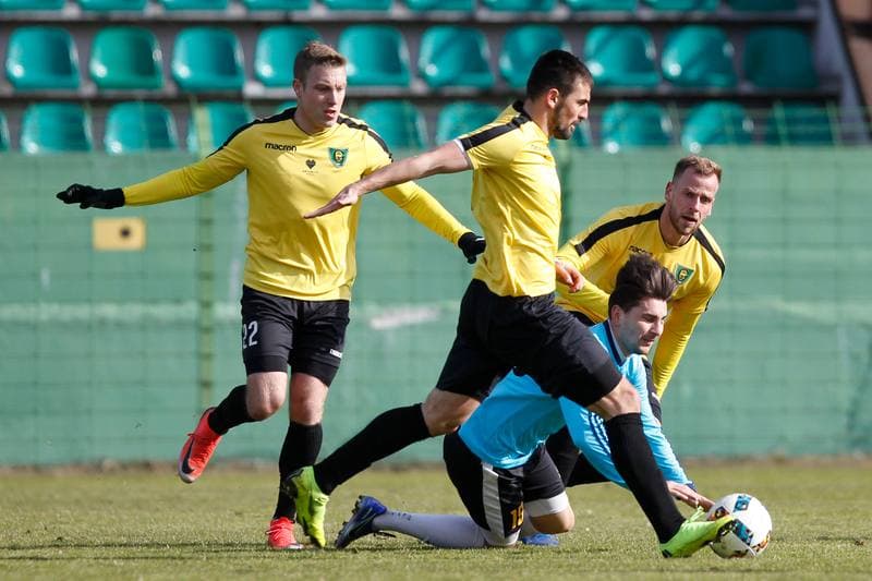 Football. Sparing. GKS Katowice - Pniowek Pawlowice. 23.02.2019