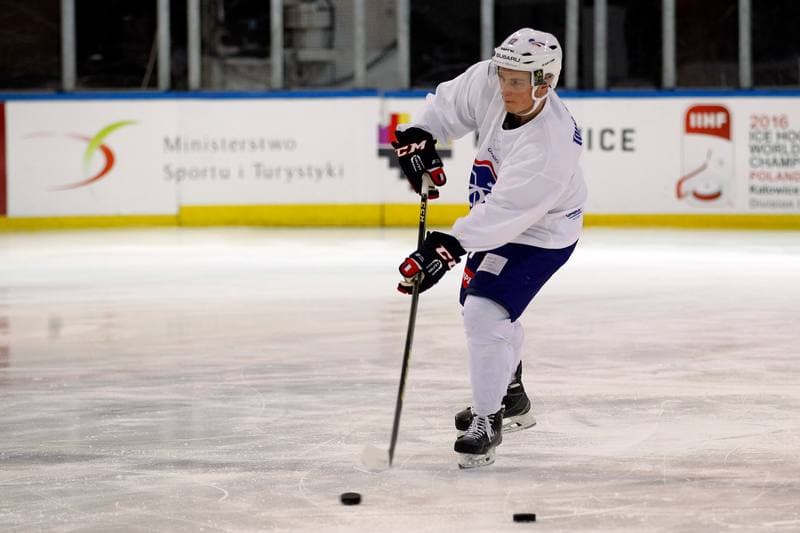 Ice Hockey. France. Training. 15.12.2015