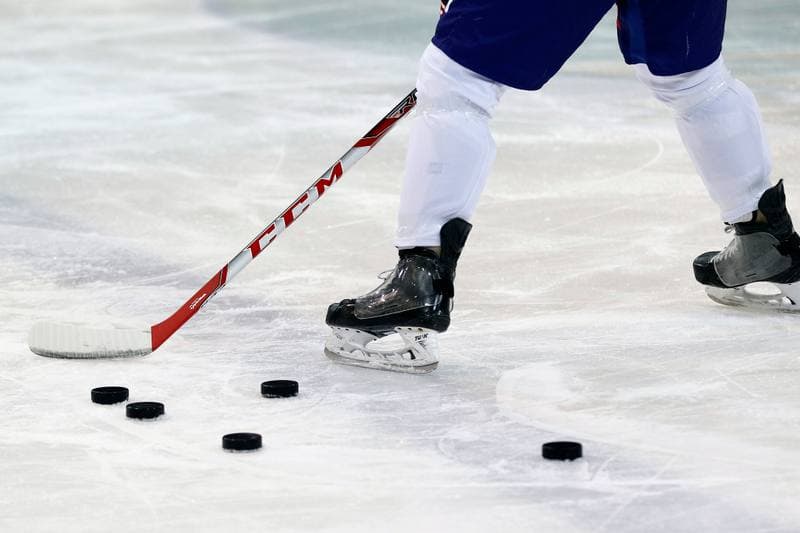 Ice Hockey. France. Training. 15.12.2015