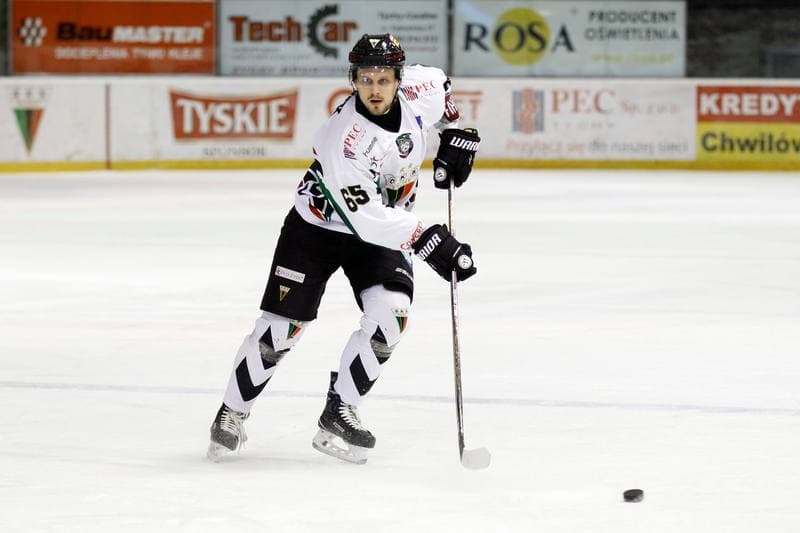 Ice Hockey. Polska Hokej Liga. GKS Tychy - Tempish Polonia Bytom. 06.12.2016